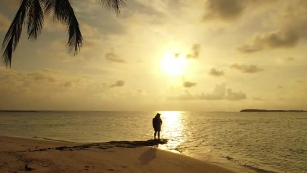 Mulher Praia Pôr Sol — Vídeo de Stock