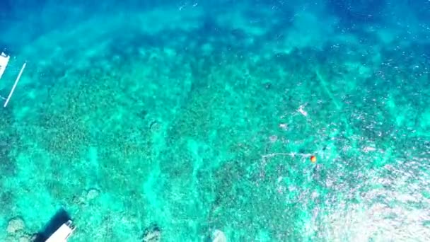 Turisti Che Nuotano Fanno Snorkeling Acqua Turchese Paesaggio Marino Estivo — Video Stock