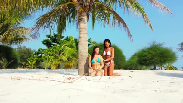 Due Giovani Amiche Bikini Sedute Sulla Costa Sabbiosa Sotto Palme — Video Stock