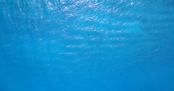 물결치는 바다를 바라보며 카리브해 바하마의 — 비디오