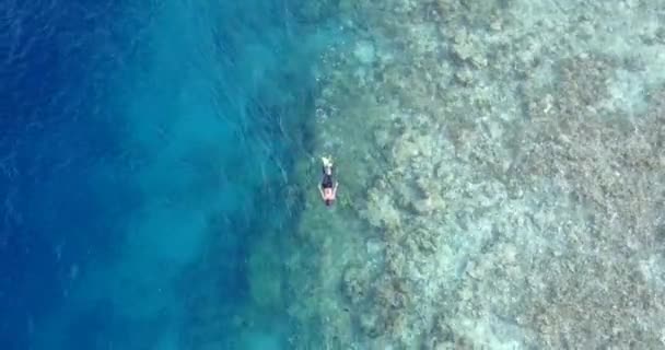 Jovem Nadando Snorkeling Águas Cristalinas Turquesa Mar Caribe Com Belos — Vídeo de Stock