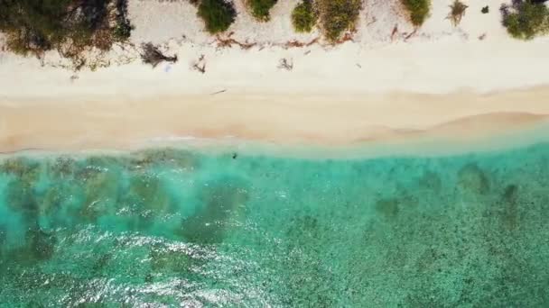 Vista Superior Costa Tropical Viagem Verão Maldivas — Vídeo de Stock