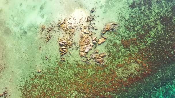 Πέτρες Στον Πυθμένα Της Θάλασσας Θαλάσσια Χαλάρωση Στο Μπαλί — Αρχείο Βίντεο