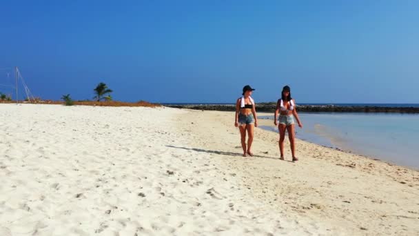 Imágenes Alto Ángulo Mujeres Caminando Playa — Vídeo de stock
