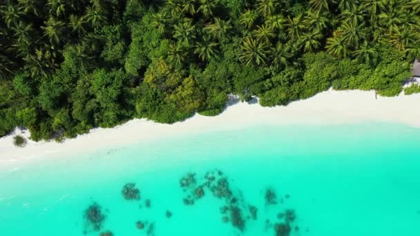 緑の熱帯の島に沿って鮮やかなターコイズブルーの海 ボラボラの日当たりの良い性質 フランス領ポリネシア — ストック動画
