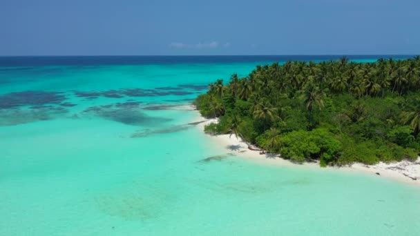 Hell Türkisfarbener Hintergrund Meer Tropisches Paradies Bora Bora Französisch Polynesien — Stockvideo