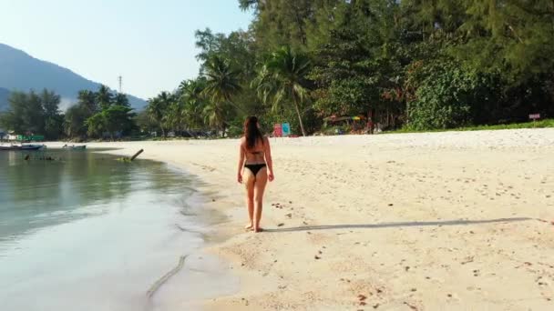 Video Kaunis Nuori Nainen Uimapuku Menossa Rannikolla Trooppinen Saari — kuvapankkivideo