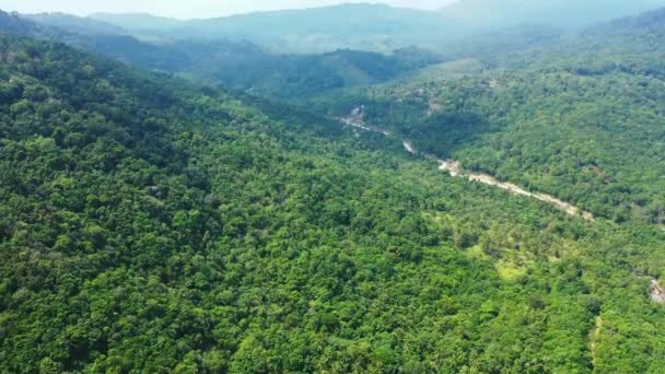 Hory Pokryté Zelenými Stromy Exotická Dovolená Bali Indonésie — Stock video