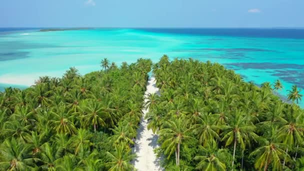 Palmer Gränd Som Leder Till Blått Hav Sommarscen Gili Trawangan — Stockvideo