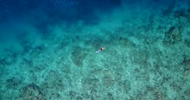 Jovem Nadando Snorkeling Águas Cristalinas Turquesa Mar Caribe Com Belos — Vídeo de Stock