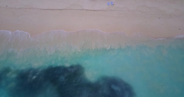 모래사장 놀라울 정도로 청록색 바닷가입니다 남아시아 몰디브에서의 — 비디오