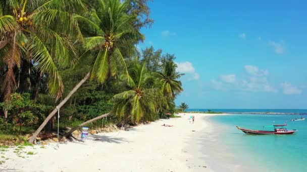 Przechylone Zielone Palmy Plaży Egzotyczna Letnia Wycieczka Bali Indonezja — Wideo stockowe