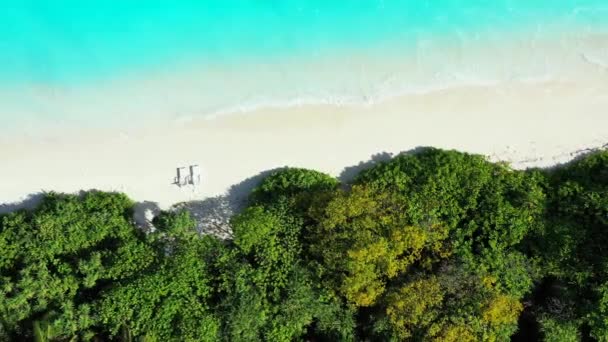 Widok Wybrzeże Leżakami Letnia Sceneria Republice Dominikany Karaiby — Wideo stockowe