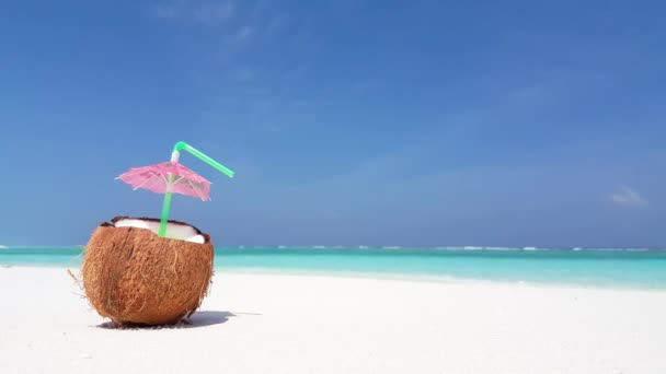Coqueiro Com Palha Praia Viagem Verão Austrália — Vídeo de Stock