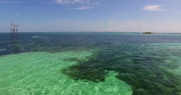 Mare Increspato Con Alghe Gita Alle Barbados Caraibi — Video Stock