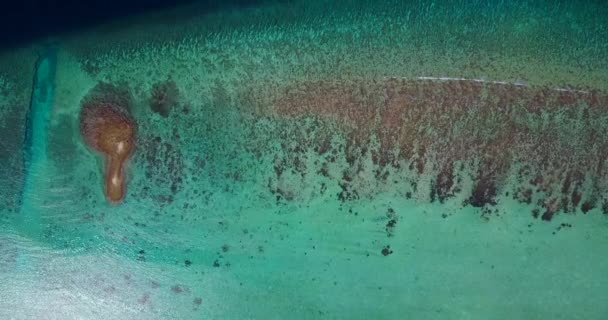 Скелястий Днище Узбережжі Природна Сцена Фіджі Океанія — стокове відео