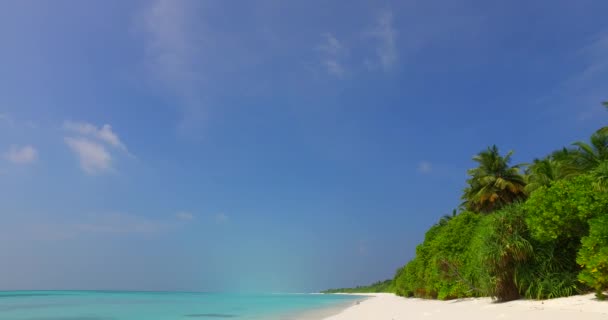 청록색 바다의 섬입니다 카리브해 도미니카 공화국의 놀라운 — 비디오