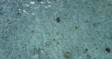 Sahilde sığ su. Filipinler, Asya 'da yaz tatili sahnesi. 