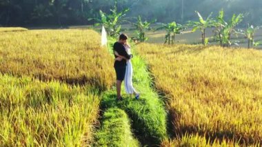 Pirinç tarlalarında sarılan çiftin videosu.