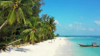 Tropik adada yemyeşil palmiyeler. Bali, Endonezya 'da egzotik tatil.