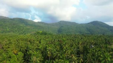 Dağlar yemyeşil ağaçlarla kaplı. Bali, Endonezya 'da egzotik tatil.