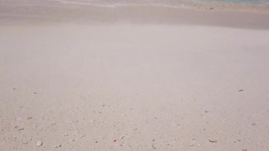 Bora Bora 'nın egzotik doğası, Fransız Polinezyası. 