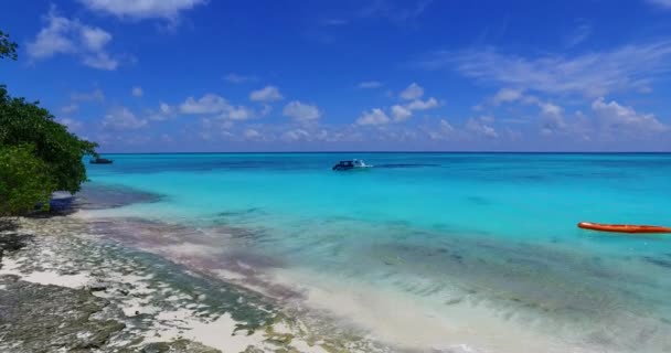 Agua Transparente Playa Paraíso Tropical Bora Bora Polinesia Francesa — Vídeo de stock