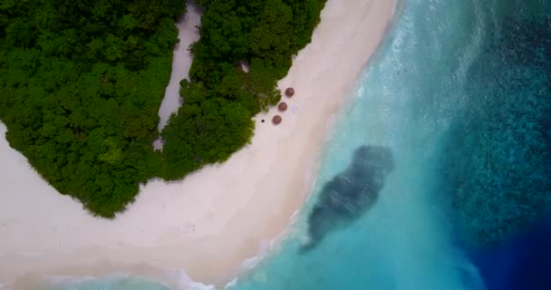 Coastline Paradise Island Tropical Nature Bahamas Caribbean — Stock Video