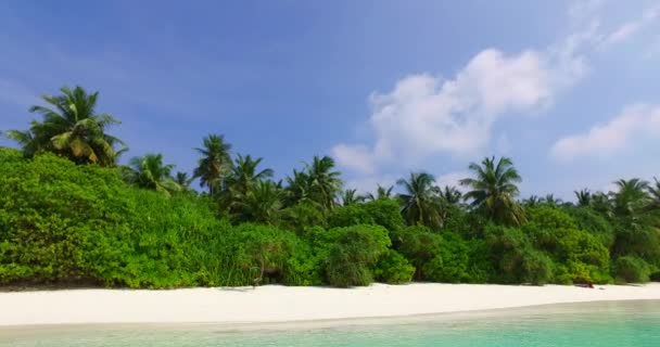 Rivage avec des arbres verts. Paysage d'Hawaï, États-Unis.