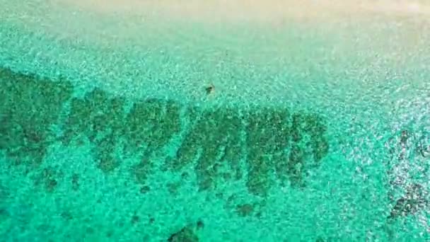 Blick Von Oben Auf Grün Plätscherndes Flachwasser Naturszene Von Fidschi — Stockvideo