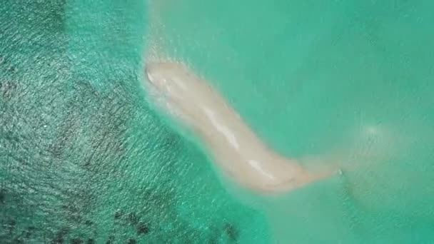 Weißer Sandrand Türkisfarbenen Meer Sommerurlaub Auf Den Philippinen Asien — Stockvideo