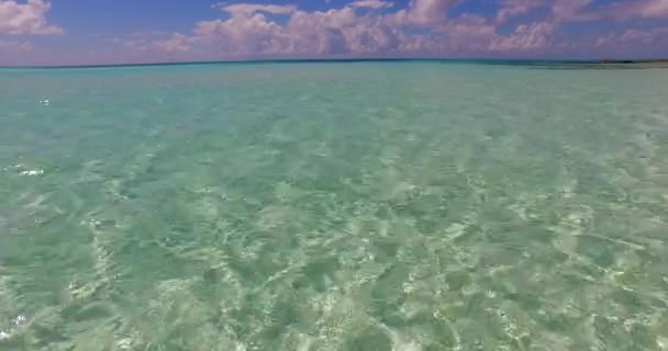 浅い水の近くのビュー アジアの熱帯性 — ストック動画
