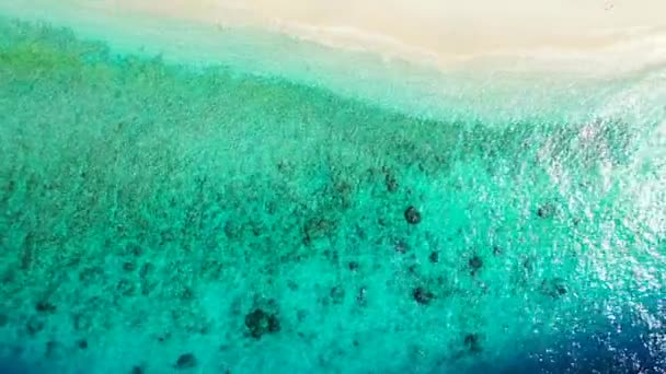 Lugnt Hav Vid Stranden Bahamas Idyllisk Scen Karibien — Stockvideo