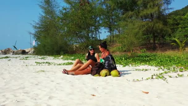 Deux Jeunes Amies Assises Sur Côte Sablonneuse Avec Des Sacs — Video