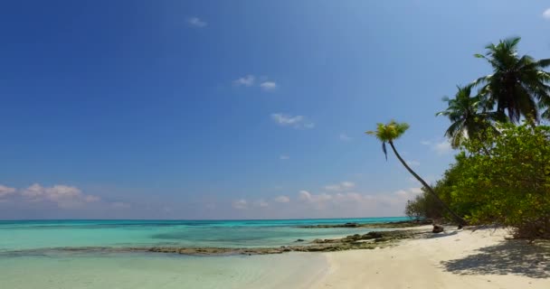 드론으로섬을 수있습니다 카리브해의 바베이도스의 — 비디오
