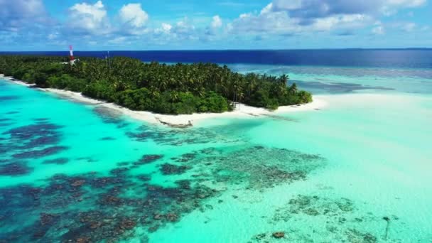 Тропический Экзотический Островной Пляж Доминиканской Республике Вид Воздушного Беспилотника — стоковое видео
