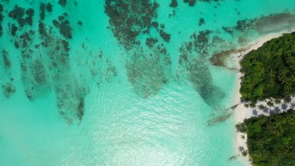 Сохнувшая Морская Поверхность Путешествие Бора Бора Французская Полинезия — стоковое видео