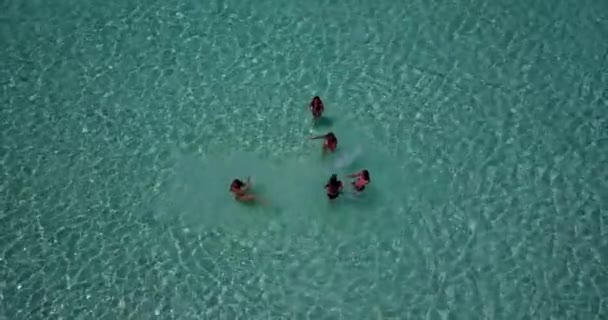 Piękne Kobiety Bikini Białej Plaży Malediwach Pobliżu Lazurowego Oceanu Lato — Wideo stockowe
