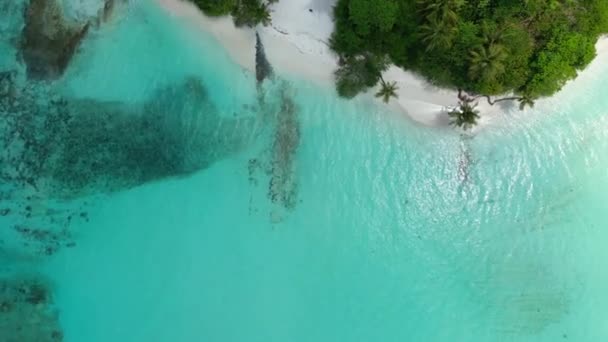 Blick Von Oben Auf Türkisfarbenes Wasser Rund Die Insel Sommerreise — Stockvideo