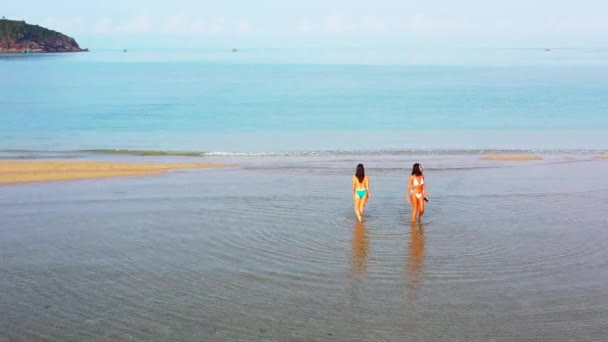 Két Fiatal Barátnő Bikiniben Sétált Tengervízben Gyönyörű Nők Pihennek Trópusi — Stock videók