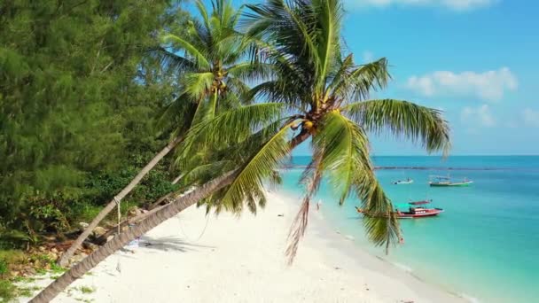 Sunny Island Show Naturaleza República Dominicana Caribe — Vídeos de Stock