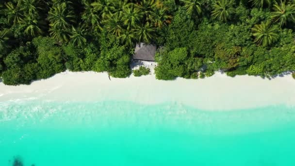 Vista Aérea Costa Viagem Verão República Dominicana Caribe — Vídeo de Stock