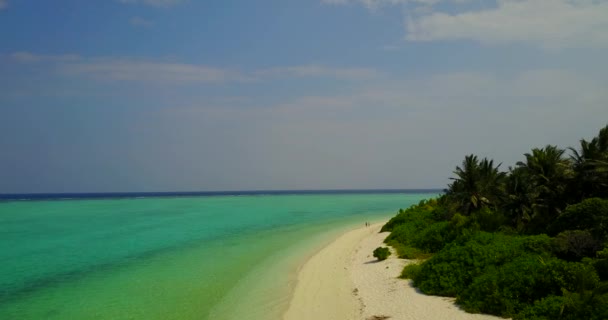 Volare Lungo Costa Verde Paradiso Tropicale Delle Barbados Caraibi — Video Stock