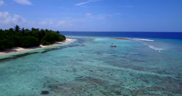 昼間は海辺 マレーシア アジアの壮大な自然 — ストック動画