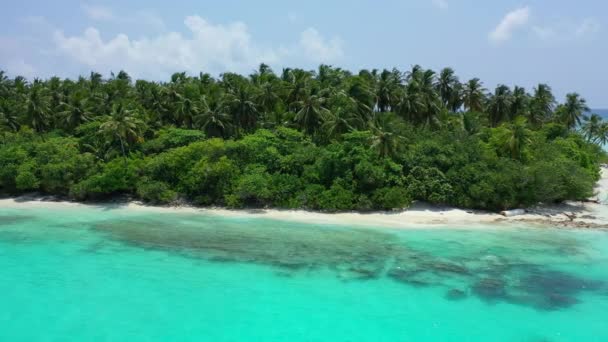 Wibrująca Turkusowa Scena Nad Morzem Letnia Scena Tropikalna Dominikanie Karaiby — Wideo stockowe