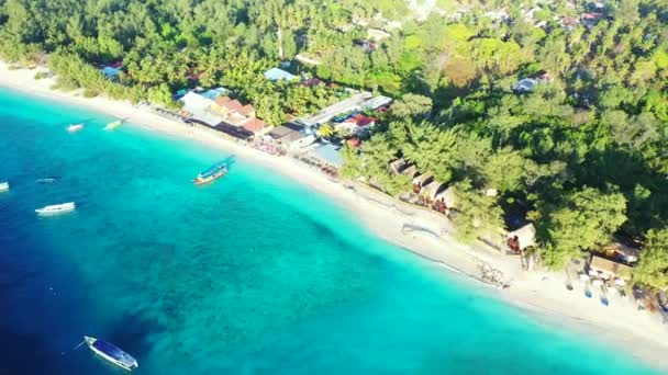 Costa Turquesa Con Exuberantes Palmeras Verdes Playa Paisajes Marinos Verano — Vídeo de stock