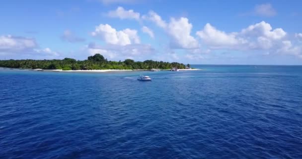 Vista Inspiradora Del Paisaje Marino Disfrutando Naturaleza República Dominicana Caribe — Vídeos de Stock