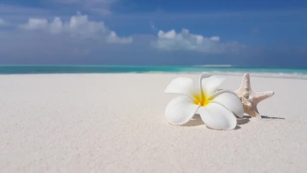 Rano Widok Plażę Podróż Bora Bora Polinezja Francuska — Wideo stockowe