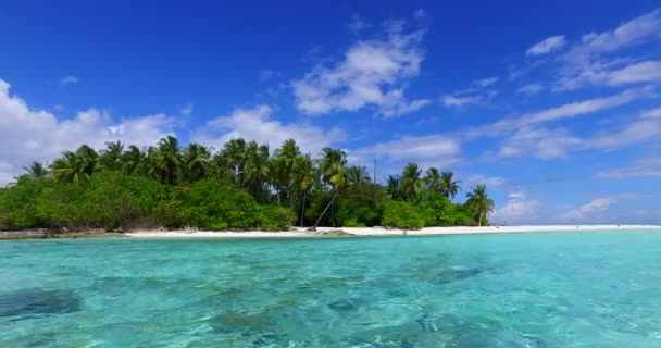 Isola Circondata Vivace Mare Turchese Natura Esotica Della Repubblica Dominicana — Video Stock