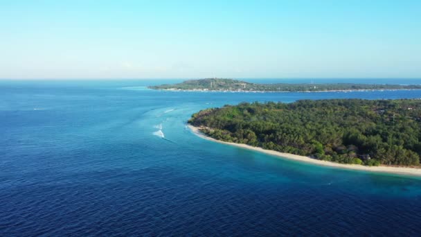 Естественный Фон Солнечного Побережья Природа Доминиканской Республики Карибский Бассейн — стоковое видео